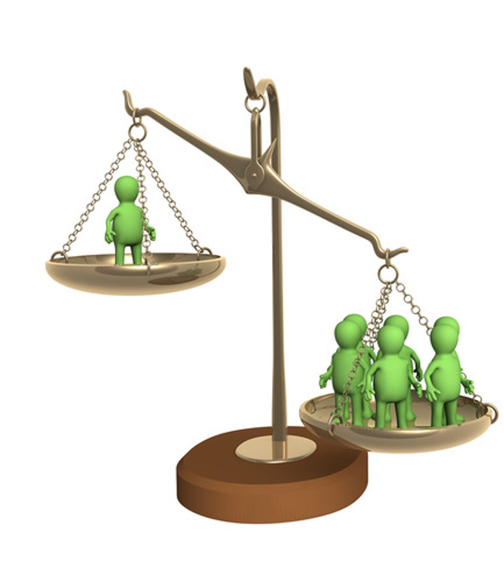 <p>the majority</p>