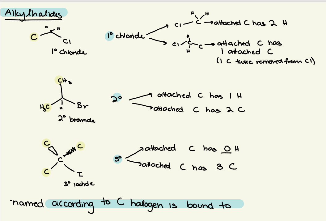 <p>classified by how many C’s/H’s the C attached to the halogen is bound to</p><p></p><p>halogen - C - C’s &amp; H’s classified by</p><p></p><p>1<sup>o </sup>— 2 H, 1 C</p><p>2<sup>o</sup> — 1 H, 2 C</p><p>3<sup>o</sup> — 0 H, 3 C</p>