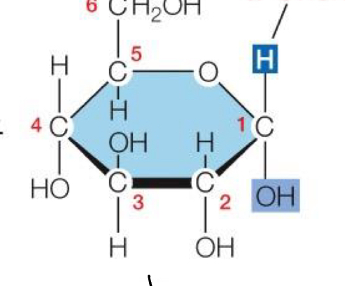 <p>H on top, OH (Hydroxl) on bottom</p>