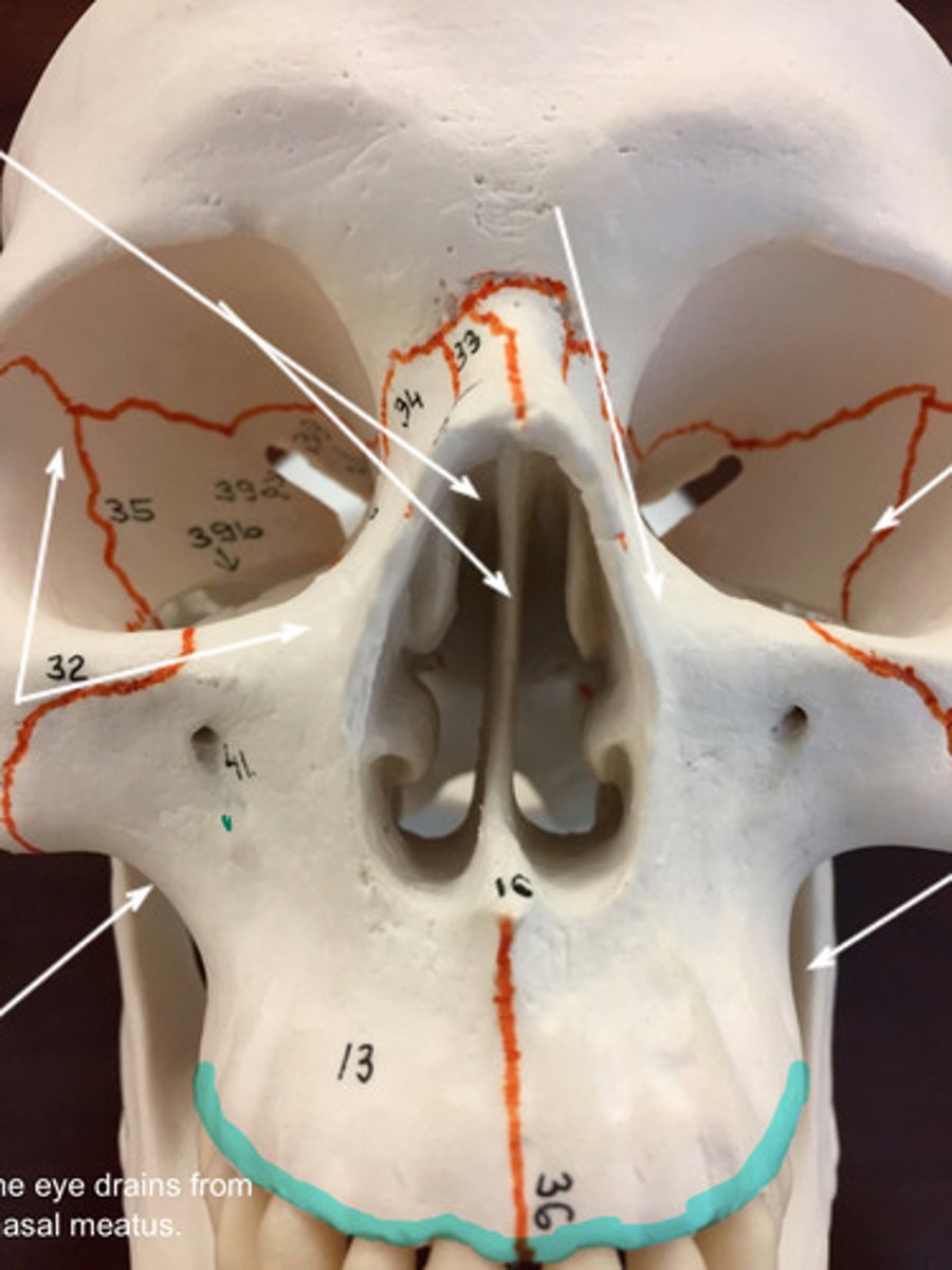 <p>What structure is highlighted here?</p>