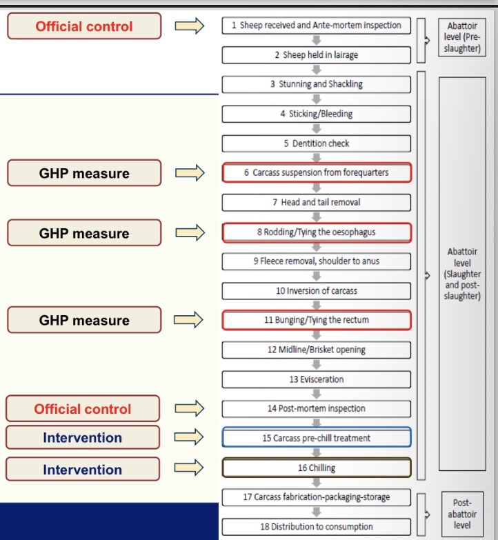 <p>Which are GHP requirements </p>