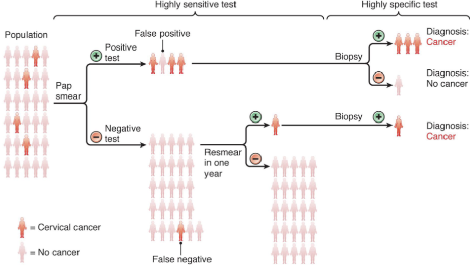 <p>sensitivity first then specificity after</p>