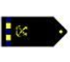 <p>One gold 1/2-inch stripe with three blue breaks outboard a specialty insignia</p>
