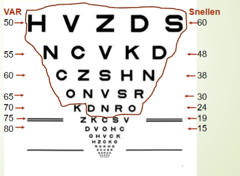 <p>what is the patients VA im snellen and VAR. circled= correct&nbsp;</p>