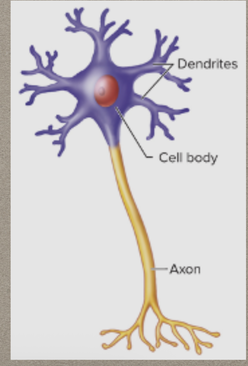 <p>What is this?</p>