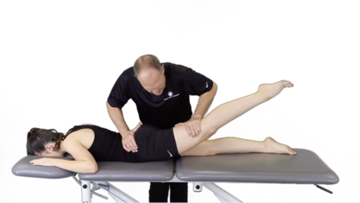 <p>Which assessment is this? Which muscles are involved? Gravity vs. gravity-eliminated?</p>