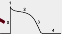 <p>What is 0</p>