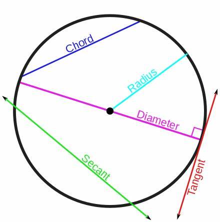 <p>a chord that passes through the center and is made up of collinear radii.</p>