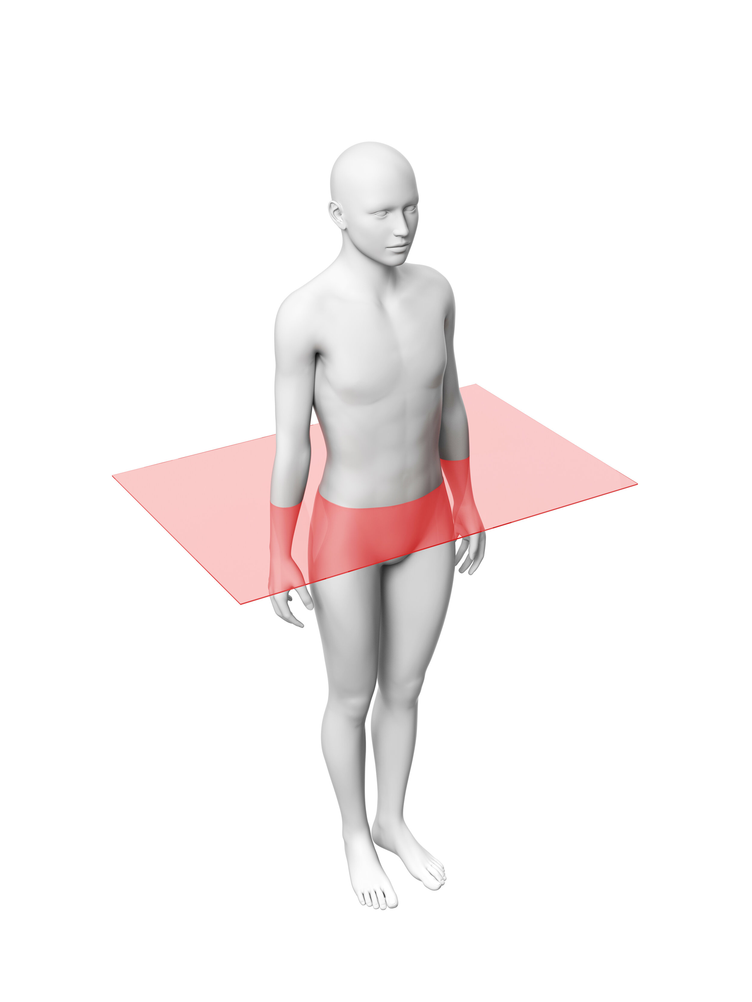 horizontal plane that divides the body or organ into upper and lower portions.