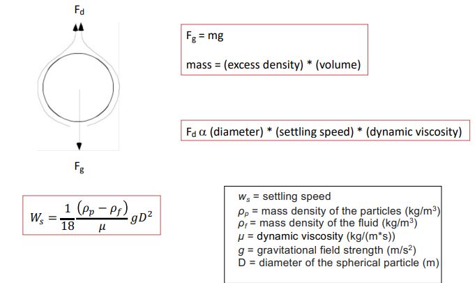 <p>two forces act on a sinking particle:</p><ul><li><p>Gravitational (Fg)</p></li><li><p>Drag (Fd)</p></li></ul><p></p>