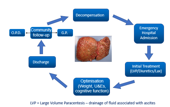 <p>Decompensated cirrhosis can be unpredictable….</p>