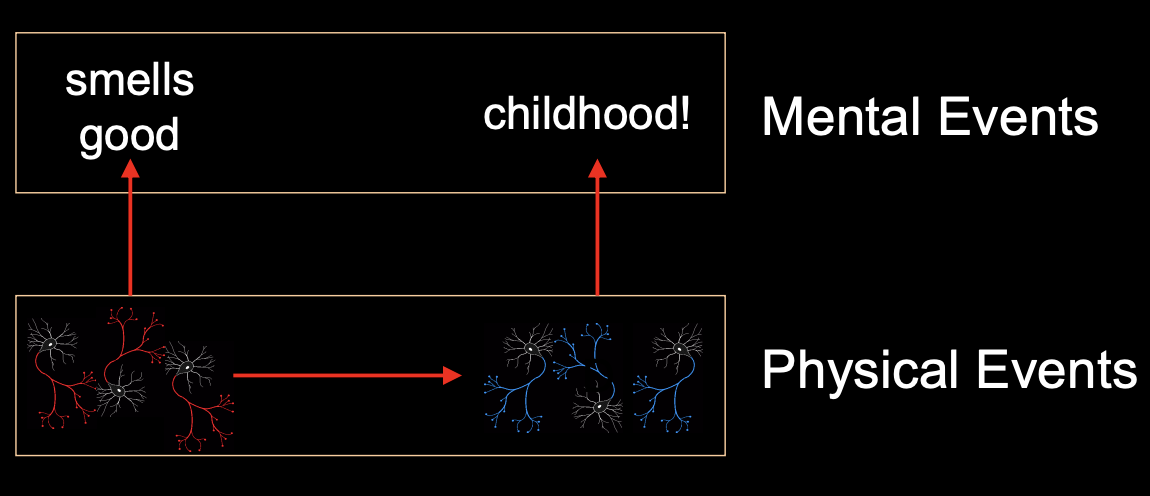 <p>Mind and brain have a casual relationship <br>“A pattern corresponds to a thought. One pattern causes another pattern”</p>