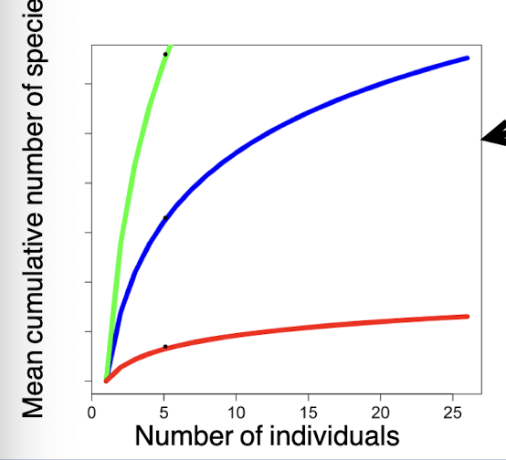 <p>the <u>average</u> number of species that you will find from looking at x individuals (same number of individuals in each site)</p><p>need to compare number of species encountered after encountering the same number of individuals from each site</p><p>the closer to plateaued the closer to having measured the true number of species aka more sampling is unlikely to find more species</p><p>note axes</p>