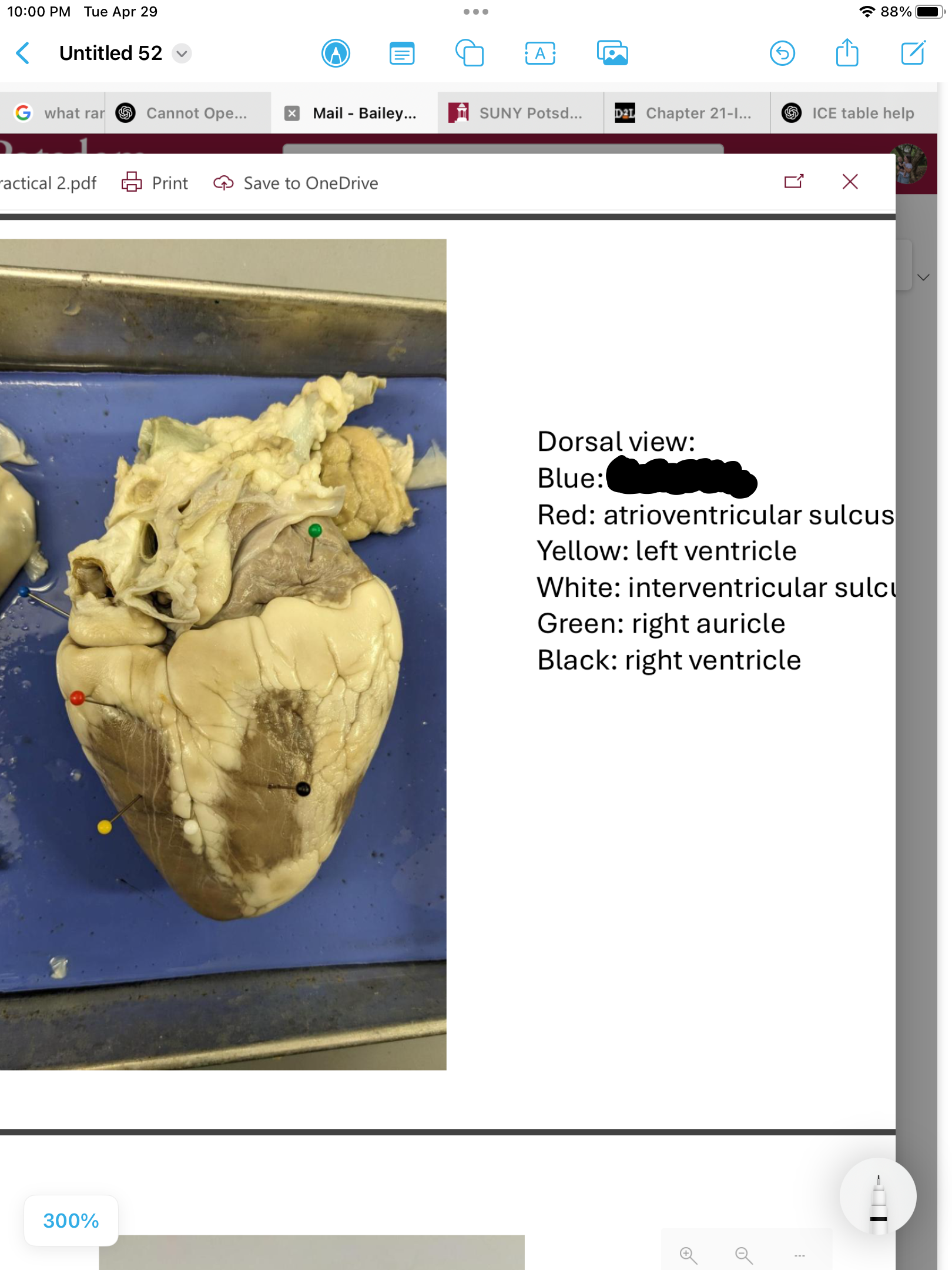 <p>label the area</p>