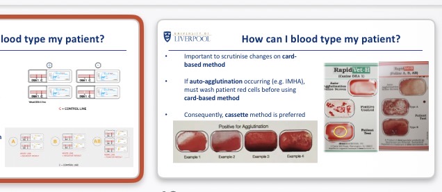 <p>External lab (long)</p><p>Cassette (using control lines+ positive lines)/ lateral flow tests</p><p>Card based method (need to rule out auto agglutination e.g. IMHA → wash patient RBC)</p>