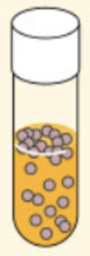 <p><span>organisms that grow <strong>with or without</strong> oxygen but <u>generally better </u>with oxygen</span></p><p><span>-They obtain their energy through <strong>aerobic respiration</strong> if oxygen is present, but use <u>fermentation or anaerobic respiration</u> if it is absent.</span></p><p><span>-Most bacteria are <strong>facultative anaerobes</strong>.</span></p><p><span>*</span>Presence of enzymes catalase and SOD to neutralized toxic forms of oxygen</p><p><strong>Ex: Escherichia coli</strong></p>