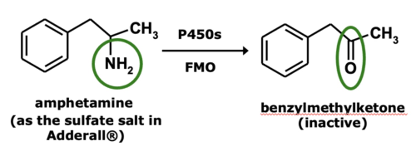 <p>- ketone<br>- aldehyde</p>