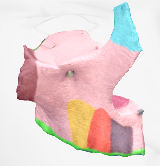 <p>protrusion that builds nose </p>