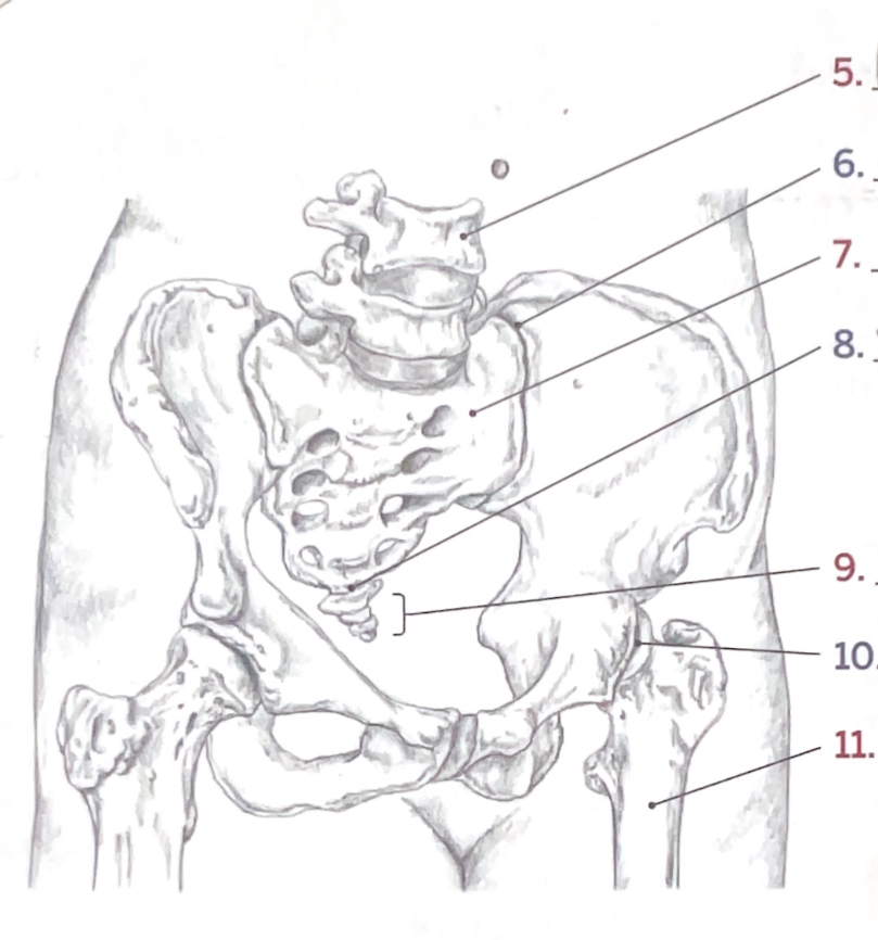 <p>5</p>
