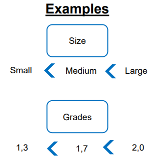 <ul><li><p>Values have a meaningful order </p></li><li><p>Difference between successive values not known</p></li></ul><p></p>