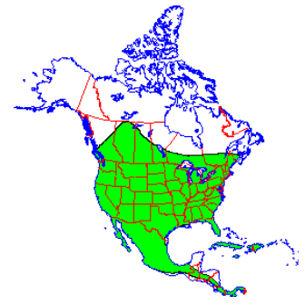 <p>Which species fits the following habitat and management concerns?</p><p><br>Habitat: Cities, towns, and rural areas all over continental US</p><p>Management issues: Many people do not like sharing their homes with them; risk of contracting rabies is exaggerated; consume huge numbers of insects, including crop pests and mosquitoes; white-nose syndrome concerns</p>