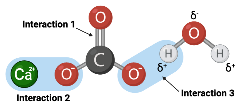 <p><span>Interaction 2 is ____.</span></p>