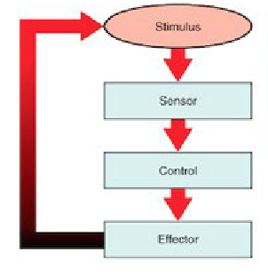 <p>Stimulus → Receptor → Control Center → Effector</p>