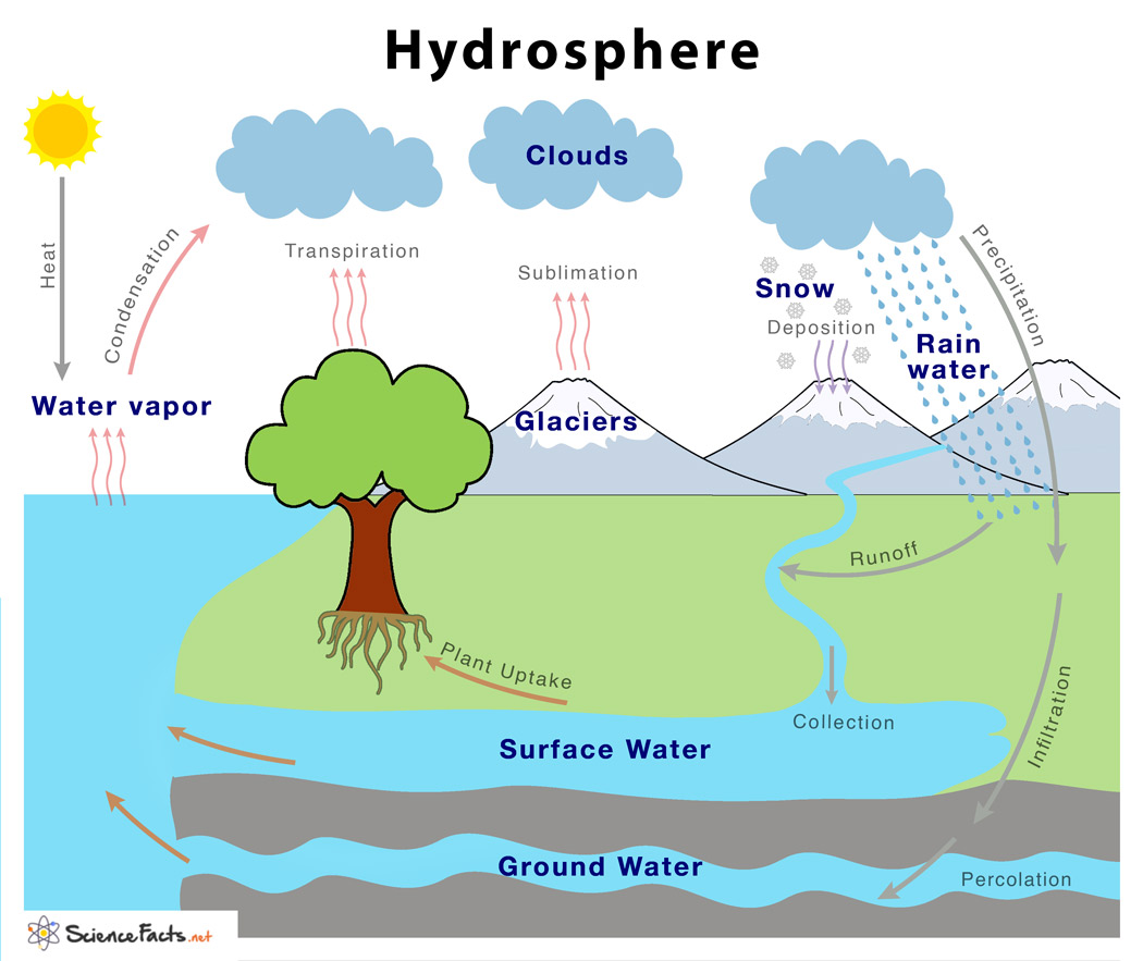 <p>Hydrosphere</p><p></p>