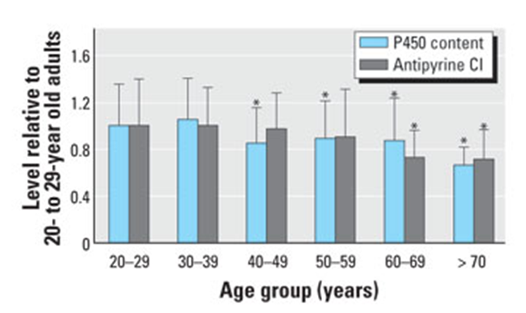 <p>How does aging affect the hepatic CYP function?</p>