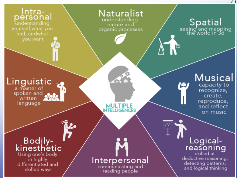 <p>we have multiple TYPES of intelligence</p>