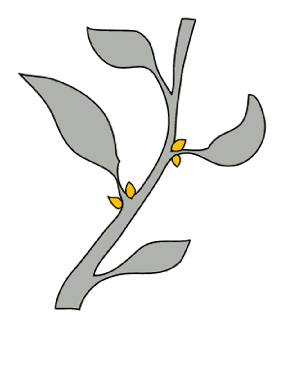 <p>Bud that occurs in the axil, the upper angle where a twig or leaf emerges from the stem</p>
