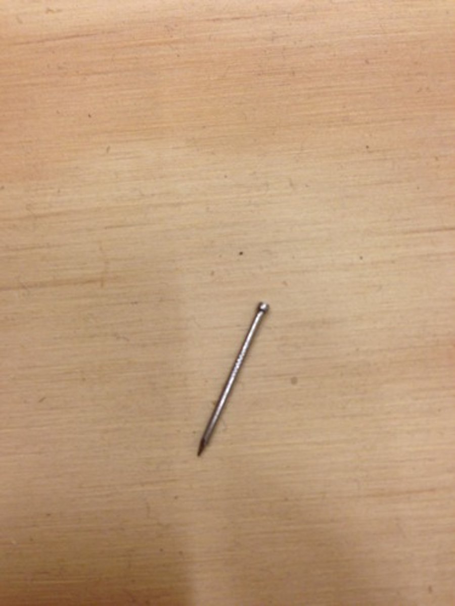 <p>What type of nail is this? (Extremely small and slender)</p>