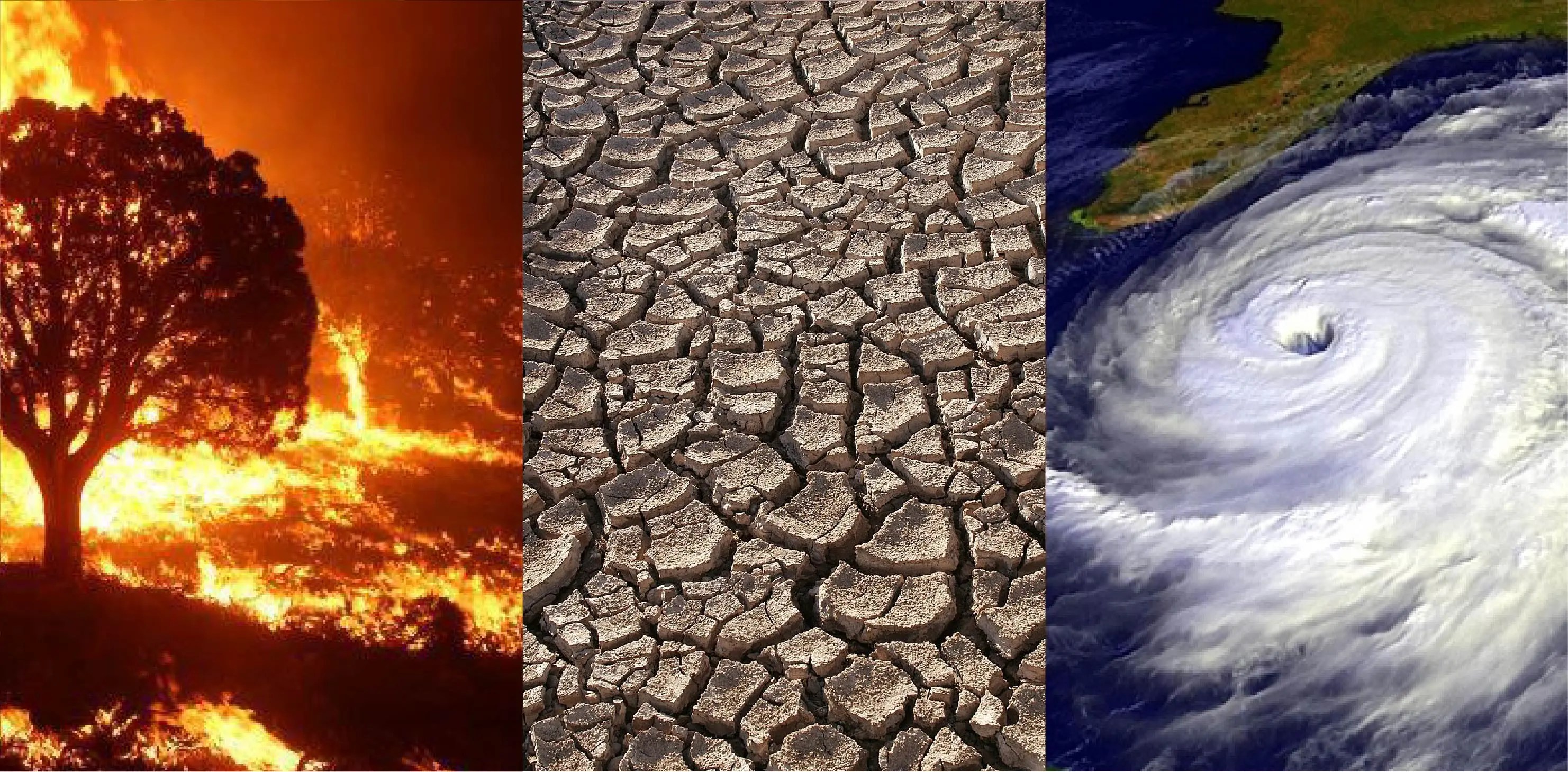 <p>Contaminación ambiental</p>