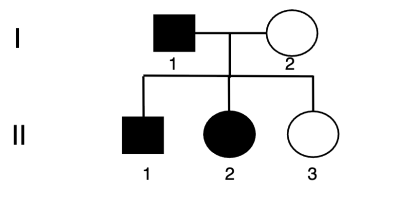 <p><span style="color: blue">The pedigree below could represent a Y-</span><span style="color: blue"><br></span><span style="color: blue">linked inherited trait</span><span style="color: blue"><br></span><span style="color: blue">A. True</span><span style="color: blue"><br></span><span style="color: blue">B. False</span></p>