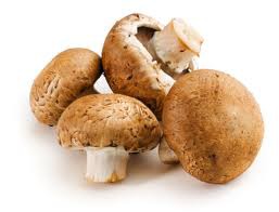 range in size, but are typically small. They have a stem that is usually white. Based on the kind of mushroom, they will have a shorter or longer / narrower stem. The tops are rounded like an umbrella and are usually brown-white.