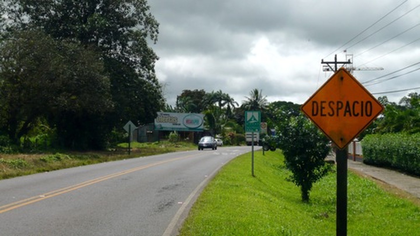 <p>slow</p>