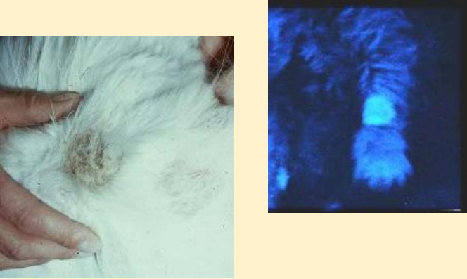 <p>What does this image show?</p>