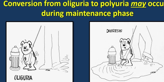 <p>Maintenance Phase of AIRF</p>