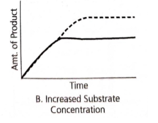 <p>If the enzyme concentration is held constant and the substrate concentration is increased, the rate of the reaction will</p>