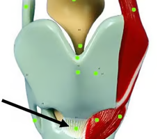 <p>What is this structure?</p>