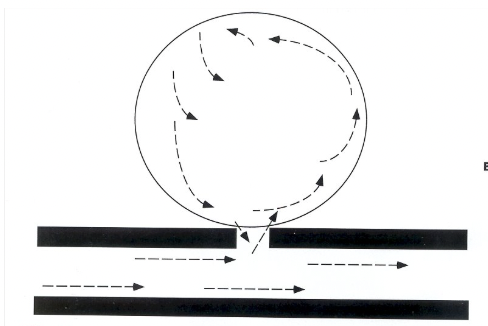 <p>This image is showing</p>