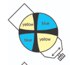 <p>When the NE Quadrant is Blue, what is the sign?</p>