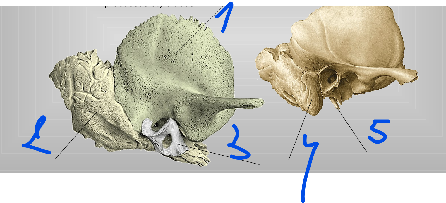 <p>3</p>