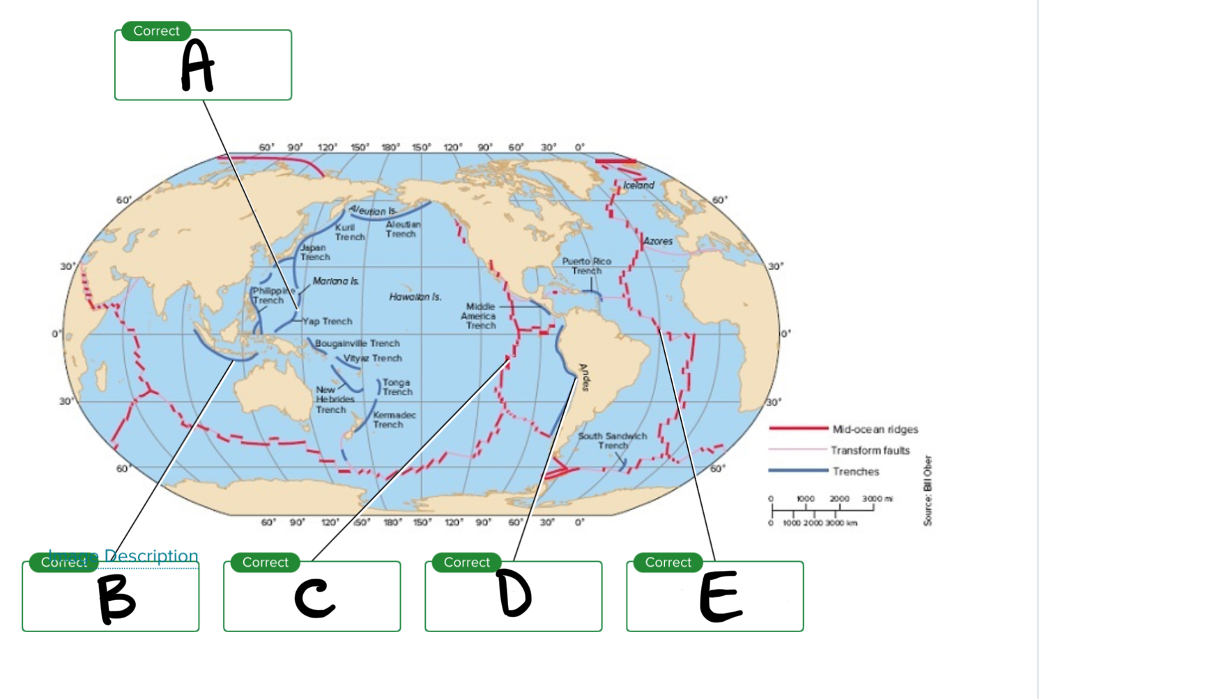 <p>Looking at the major feature of sea floor, what is D?</p>