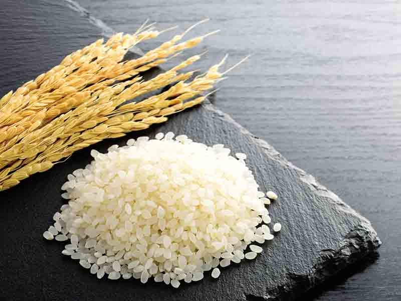 <p>arroz</p>