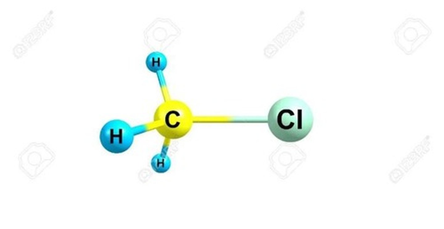 <p>An atom other than C and H, such as O, N, S, P, Cl, F, Br, that can influence the polarity of a molecule.</p>