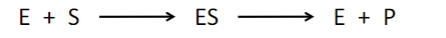 <ul><li><p><span style="font-family: sans-serif">overall rate depends on concentrations of enzyme (E) and substrate (S)</span></p></li><li><p><span style="font-family: sans-serif">when the amount of enzyme is much less than substrate (substrate [S] is saturating), reaction</span><span><br></span><span style="font-family: sans-serif">rate has linear dependence on [E]</span></p></li></ul>