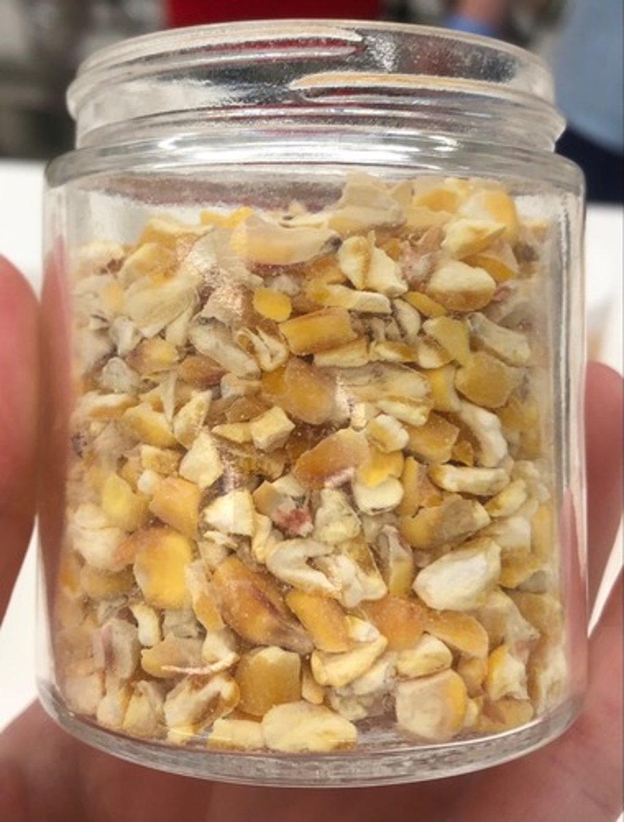 <p>- IFN #/Category (4) high energy concentrate</p><p>- AAFCO Category - grain product</p><p>- Feed Type - high energy</p>