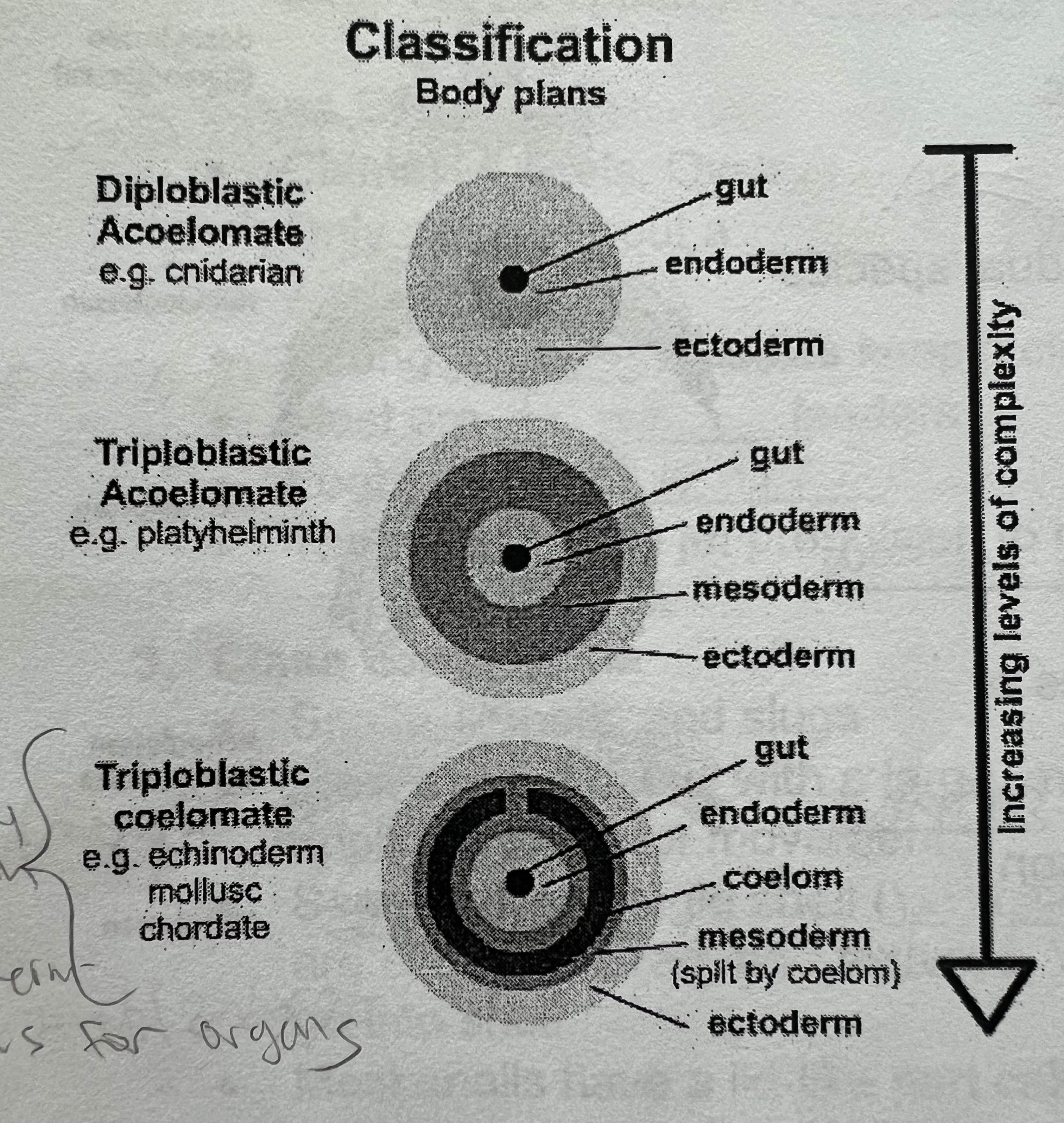 <p>Look &amp; memorize</p>