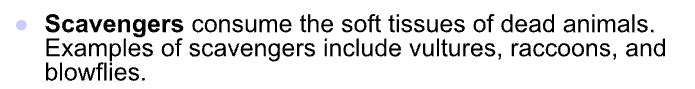 <p>the first level of decomposers</p><p>-consumes decaying organisms left behind</p><p>vultures</p>